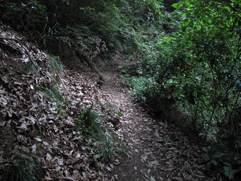20171005hike (8)